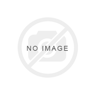Bild von Stehlagereinheiten SNC 507-606