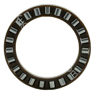 Cage à rouleaux cylindriques - K 81102